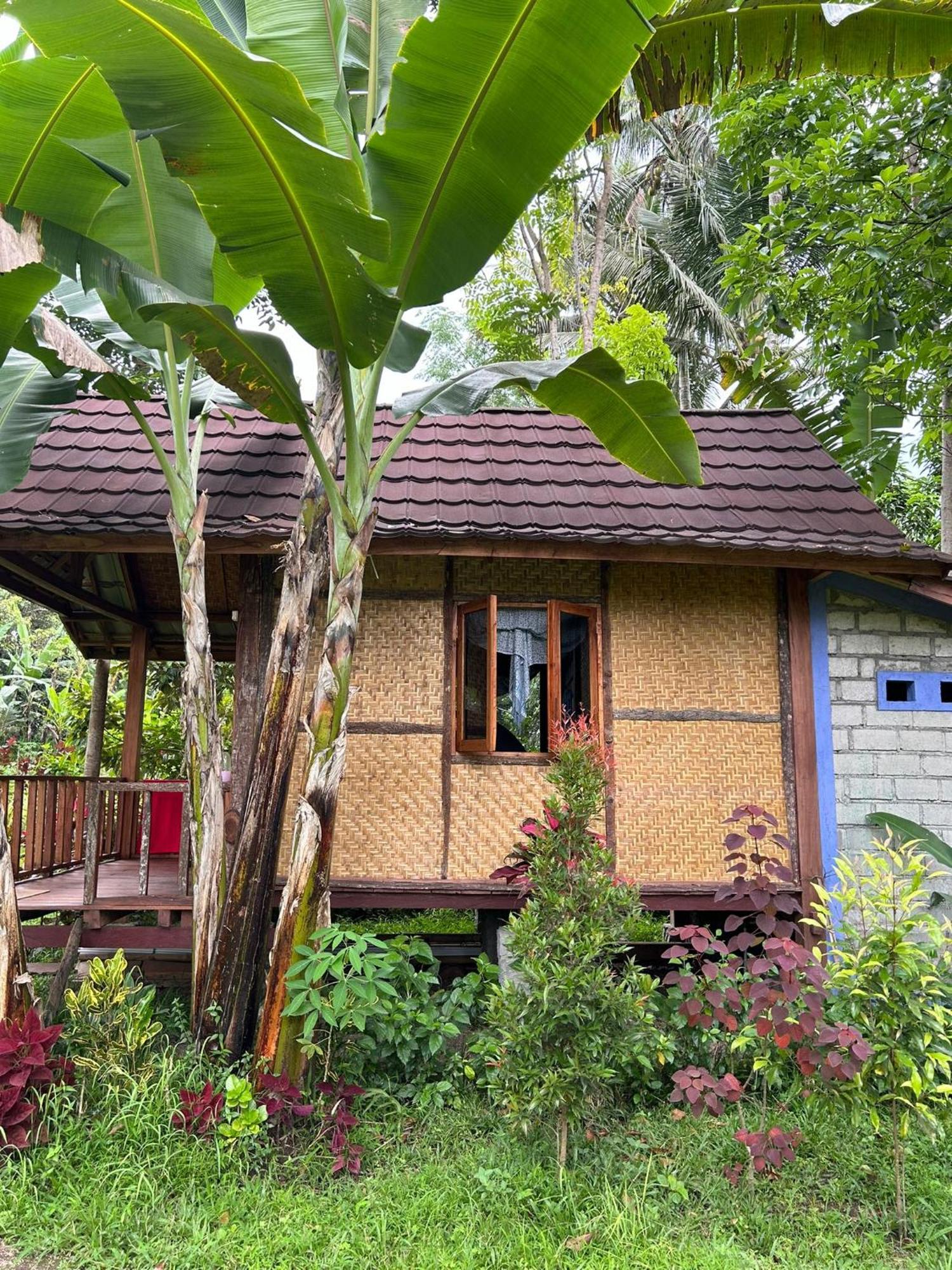 Banana Bungalows Tetebatu Zimmer foto